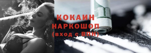 тгк Касимов