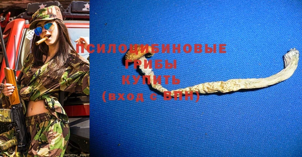COCAINE Каменск-Шахтинский