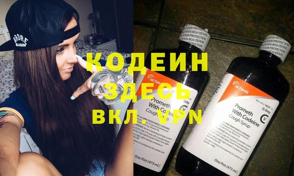 хмурый Каменногорск