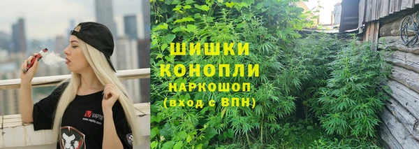 шишки Ладушкин