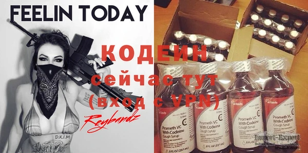 хмурый Каменногорск
